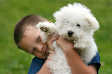 dog healthy coat