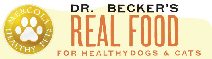 Dr. Becker's Real Food for Healthy Dogs and Cats Cookbook