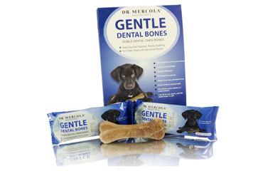 Medium Gentle Dental Bones 

(12 bones per box): 1 box