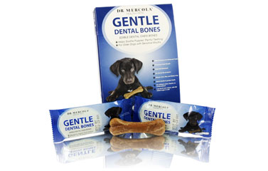 Small Gentle Dental Bones 

(12 bones per box): 1 box
