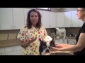 Skin Infections and Your Dog